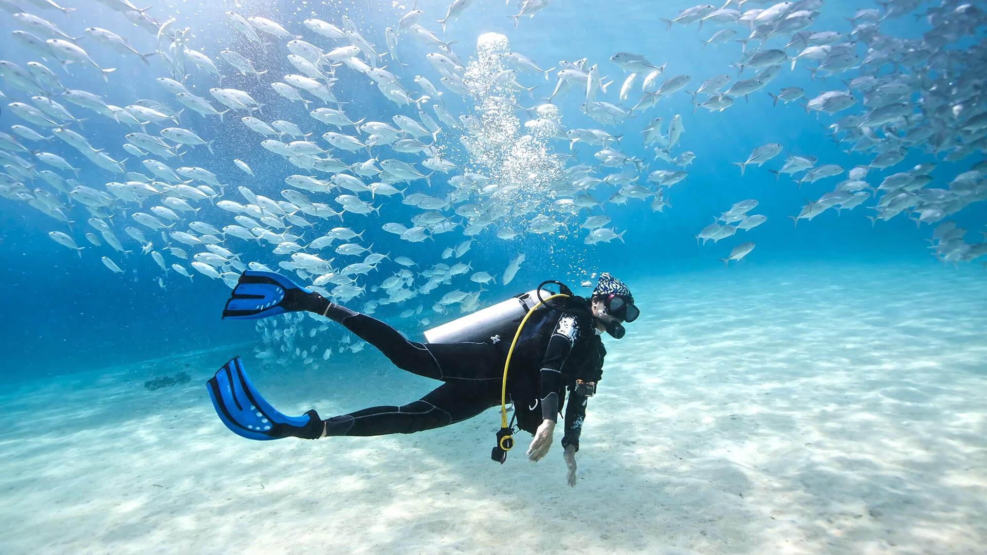 Top 10 Best Scuba Divers In The World